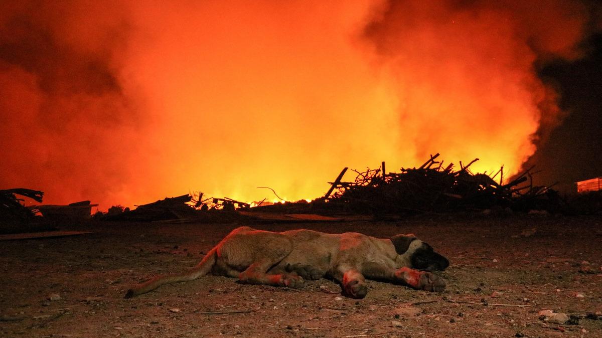 Yer: Antalya! B&uuml;y&uuml;yen alevleri kimi oturarak kimi ayakta izledi
