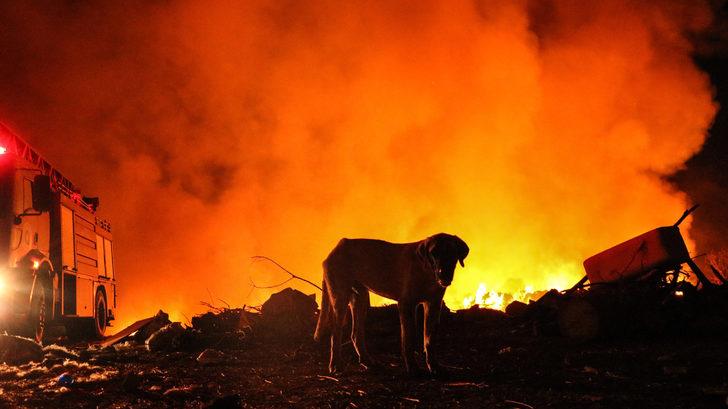 Yer: Antalya! Büyüyen alevleri kimi oturarak kimi ayakta izledi G3
