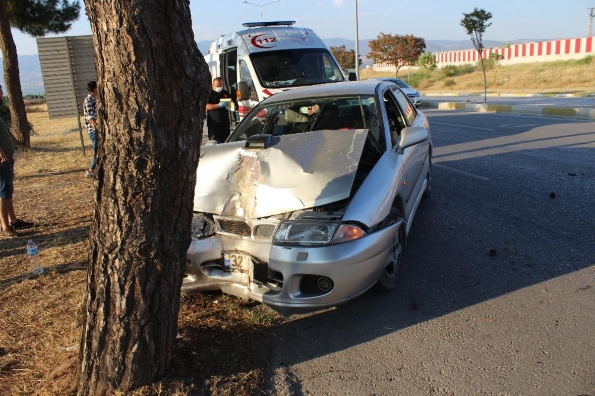 K&ouml;peğe &ccedil;arpmak istemeyen s&uuml;r&uuml;c&uuml; ağaca &ccedil;arptı: 2 yaralı