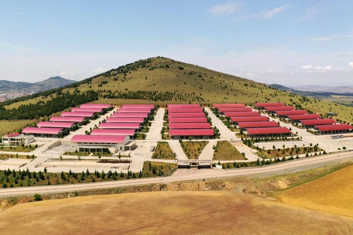 Altındağ&rsquo;da kurban hazırlığı başladı