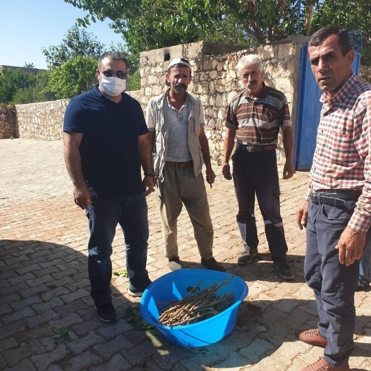 Darge&ccedil;it&rsquo;te fıstık &uuml;reticilerine aşı kalemleri dağıtıldı