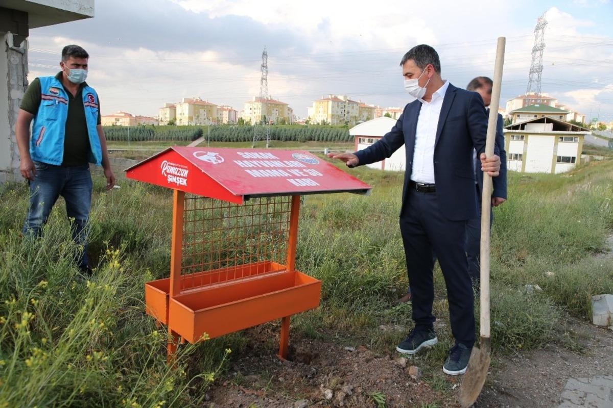 G&ouml;lbaşı Belediyesi, sokak hayvanları i&ccedil;in iki projeyi hayata ge&ccedil;iriyor