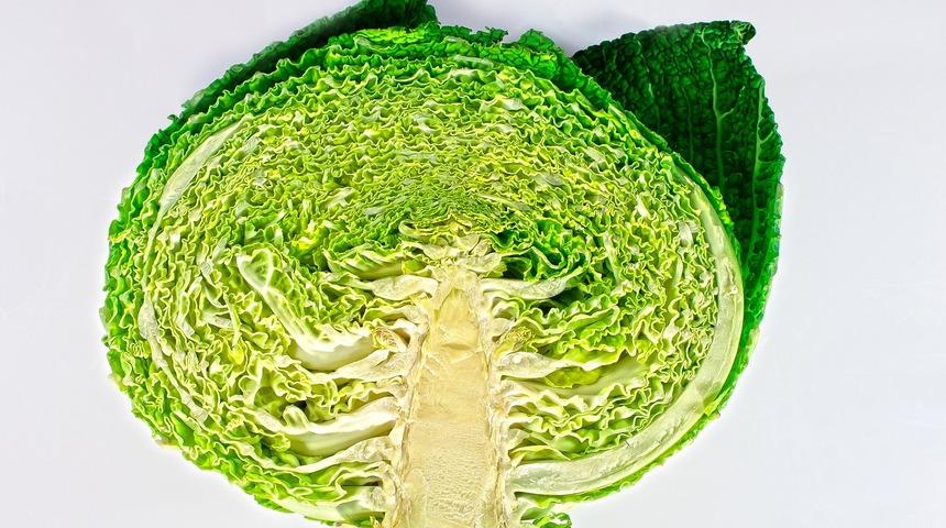 Lahana diyeti nedir, nasıl yapılır?