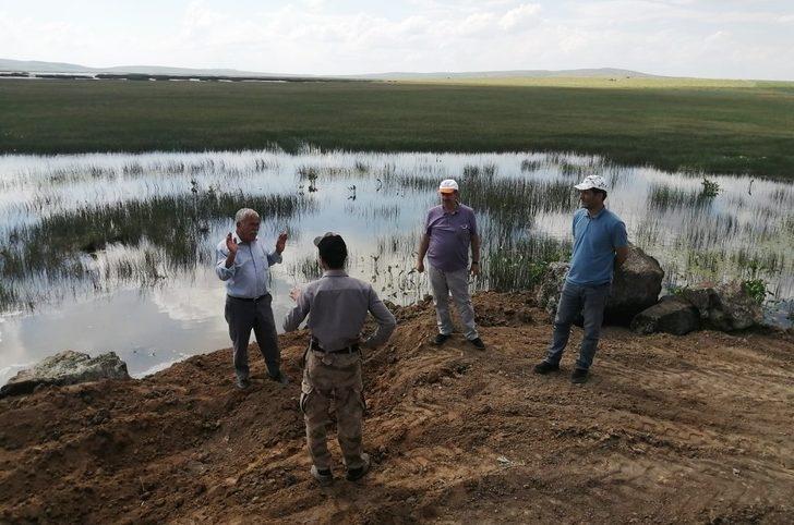 Cil Gölü eski doğal güzelliğine kavuşacak G3
