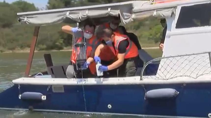 Bakanlık harekete geçti! Küçükçekmece Gölü'nde inceleme başladı