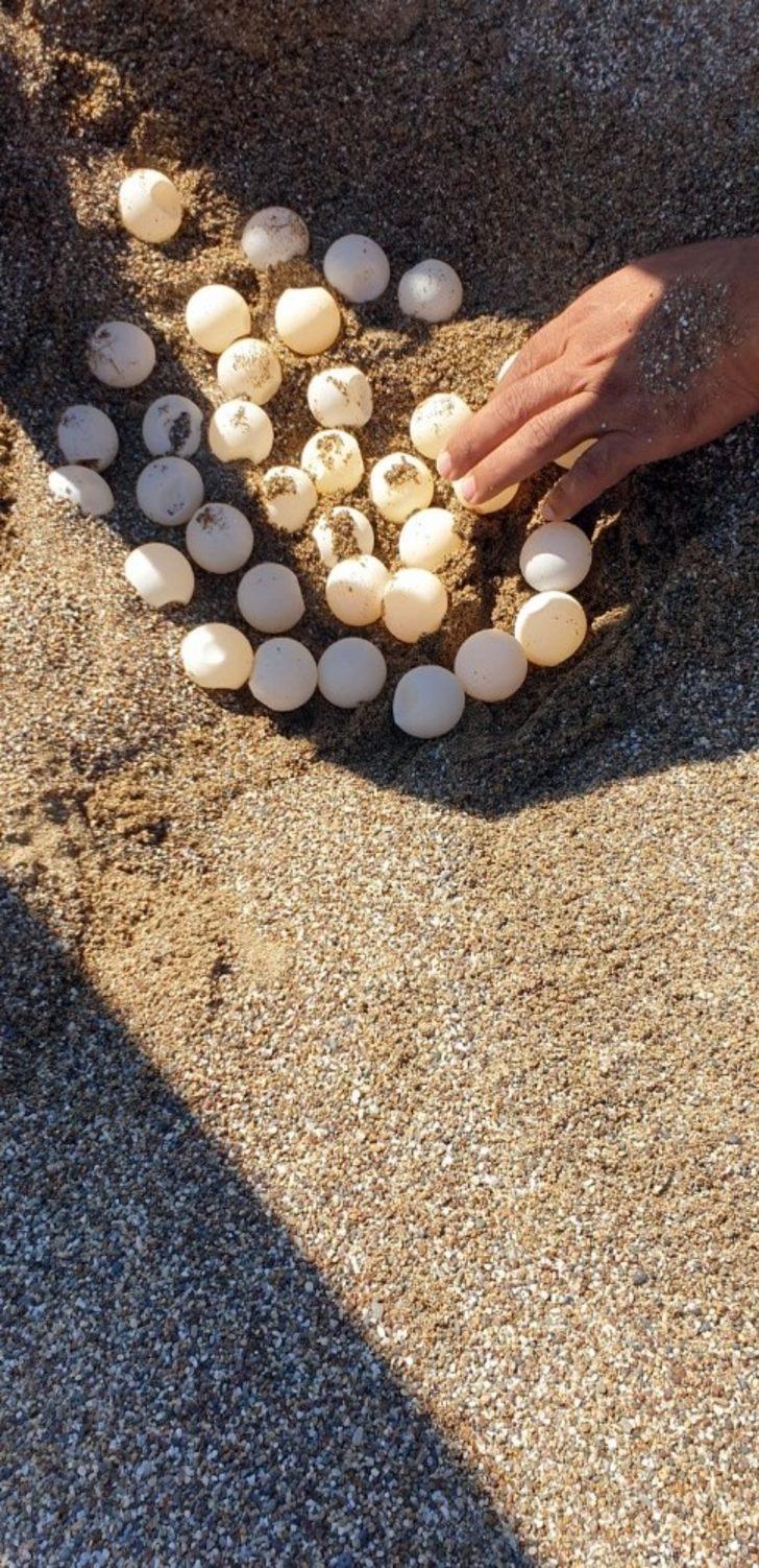 Manavgat Belediyesi’nden caretta yuvalarına hendekli koruma G5