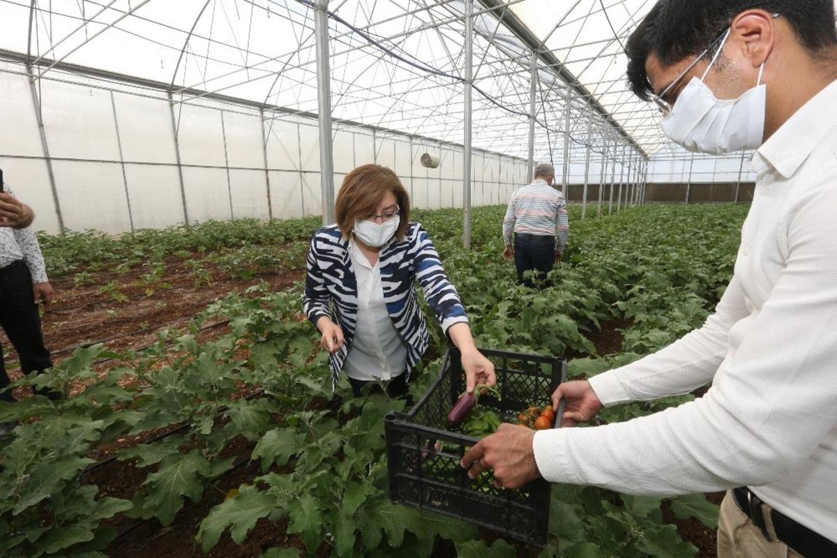 Tarımsal Eğitim ve Y&ouml;resel &Uuml;r&uuml;nler İşleme Merkezi ilk &uuml;r&uuml;n&uuml;n&uuml; verdi