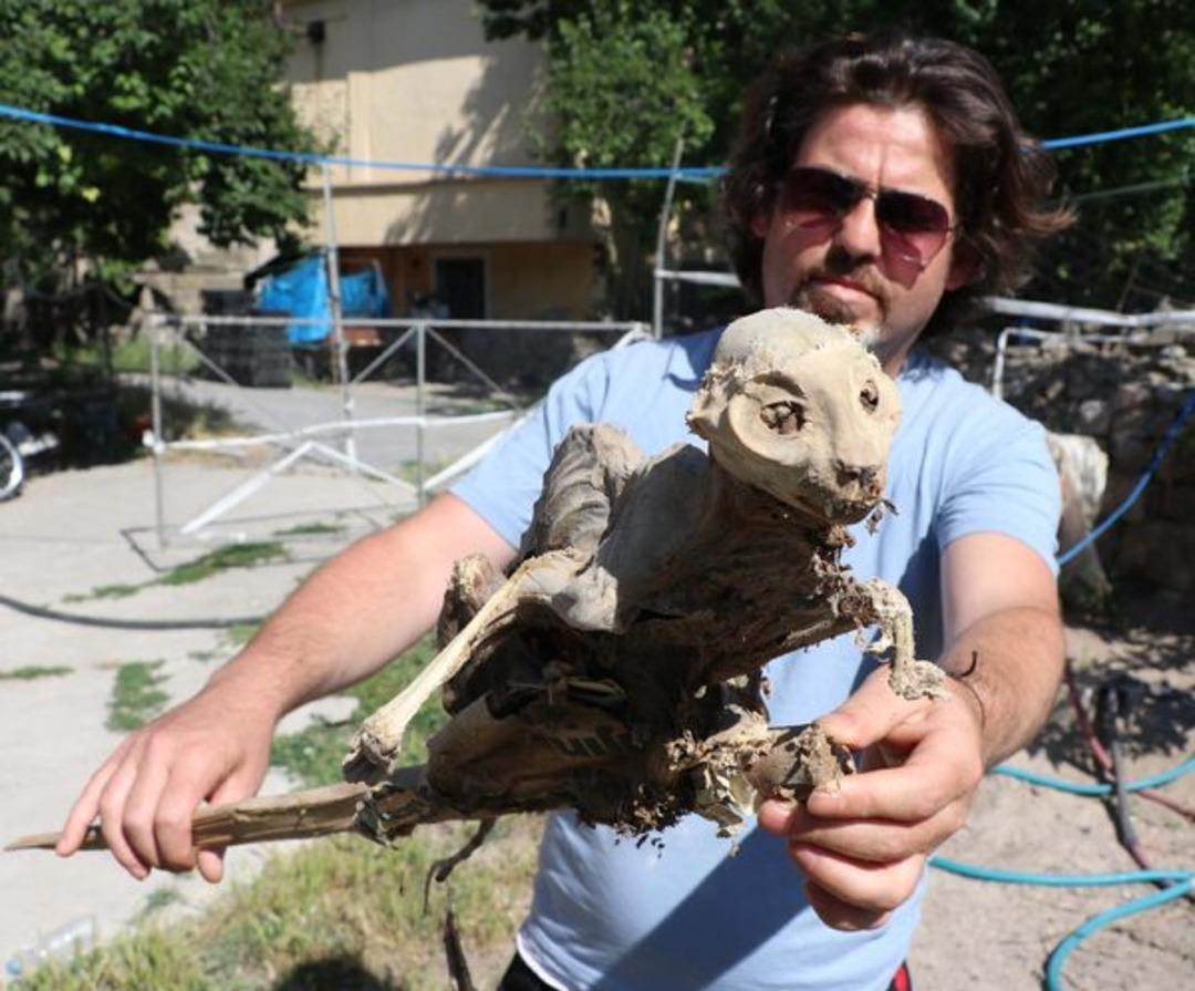 Odun ararken evinin bodrumundan hayvan iskeleti &ccedil;ıktı: B&ouml;yle bir şeyi ilk kez g&ouml;r&uuml;yorum!