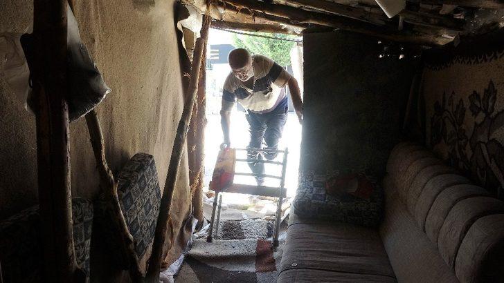 Tek bacağı ile yaşam savaşı veriyor G5