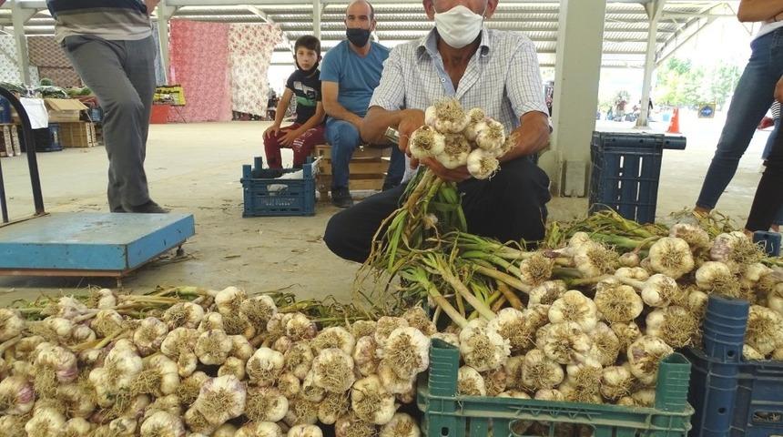 Yerli sarımsak çıktı, fiyatlar düştü