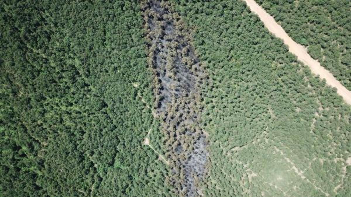 İstanbul'da yanan ormanlık alan b&ouml;yle g&ouml;r&uuml;nt&uuml;lendi