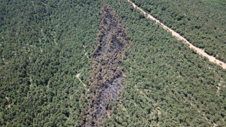 İstanbul'da yanan ormanlık alan böyle görüntülendi G1