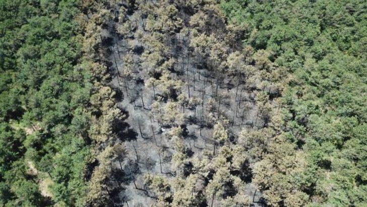 İstanbul'da yanan ormanlık alan böyle görüntülendi G2