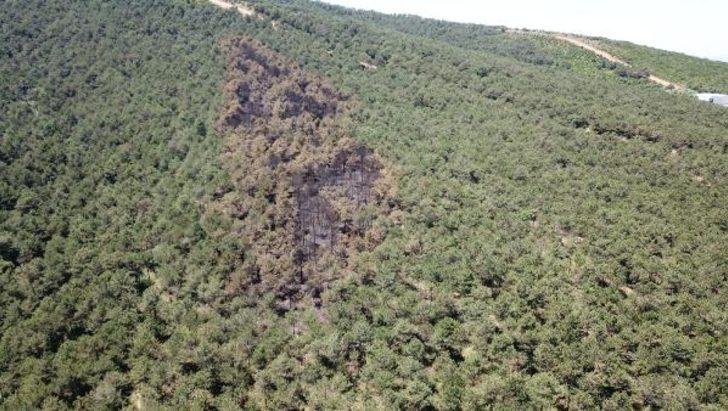 İstanbul'da yanan ormanlık alan böyle görüntülendi G3