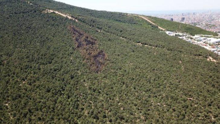 İstanbul'da yanan ormanlık alan böyle görüntülendi G4
