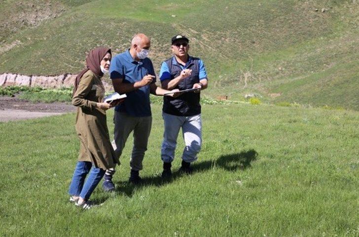 Erzurum Palandöken Kayak Merkezi ağaçlandırılıyor G1