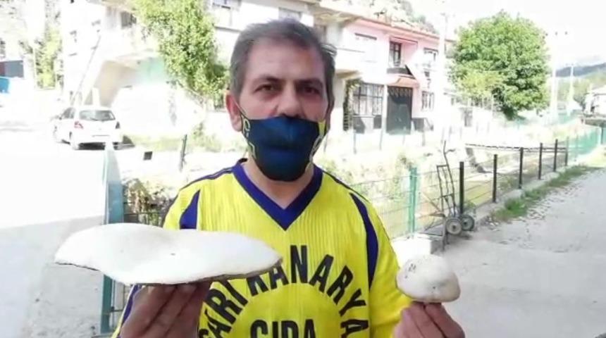 Afyonkarahisar'da dev mantar görenleri şaşkına uğrattı