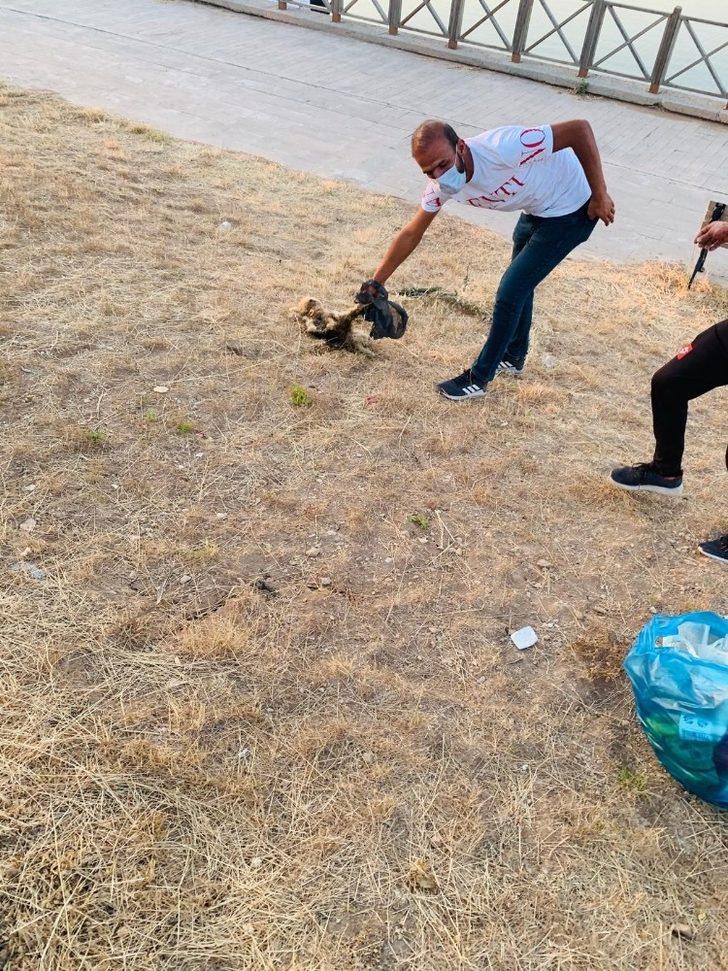 Gercüş Kırkat Göleti mesire alanı temizlendi G3