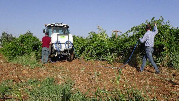 Gercüş’te bağ küllenmesine karşı ilaçlama başlatıldı G3