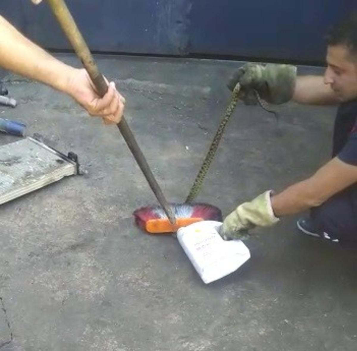 İskilip&rsquo;te işyerine giren yılanı pahiğe neden oldu