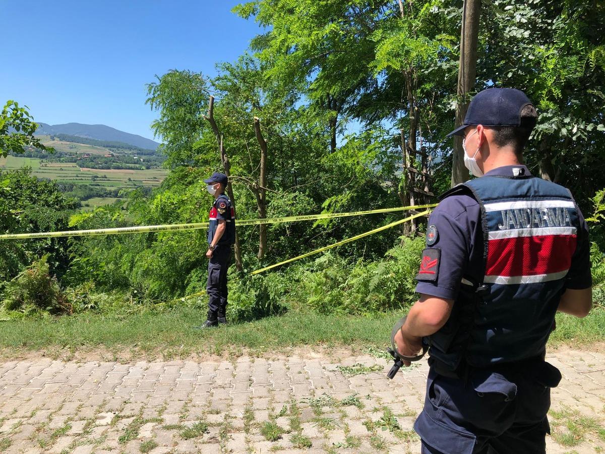 Dut ağacını budadıkları i&ccedil;in kardeşi ve yeğenini &ouml;ld&uuml;rd&uuml;