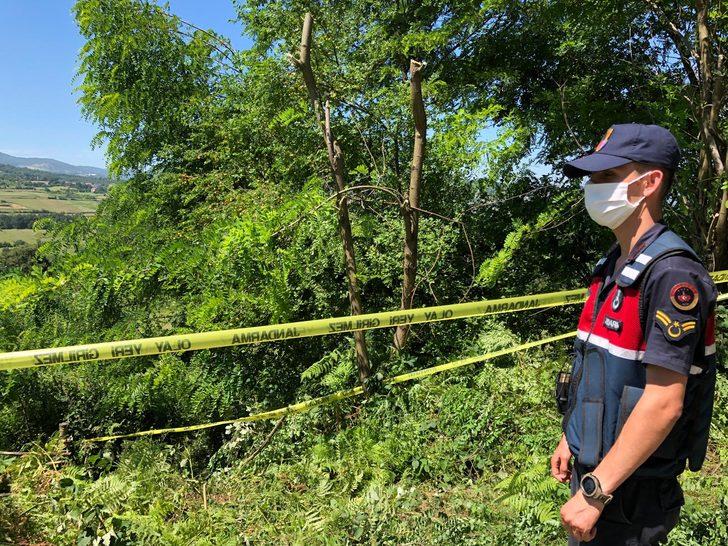 Dut ağacını budadıkları için kardeşi ve yeğenini öldürdü G2