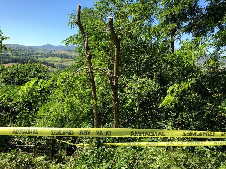 Dut ağacını budadıkları için kardeşi ve yeğenini öldürdü G3