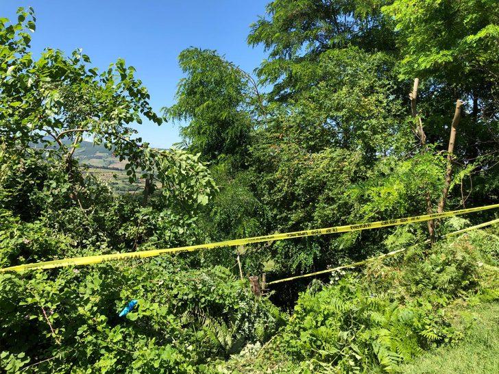 Dut ağacını budadıkları için kardeşi ve yeğenini öldürdü G4