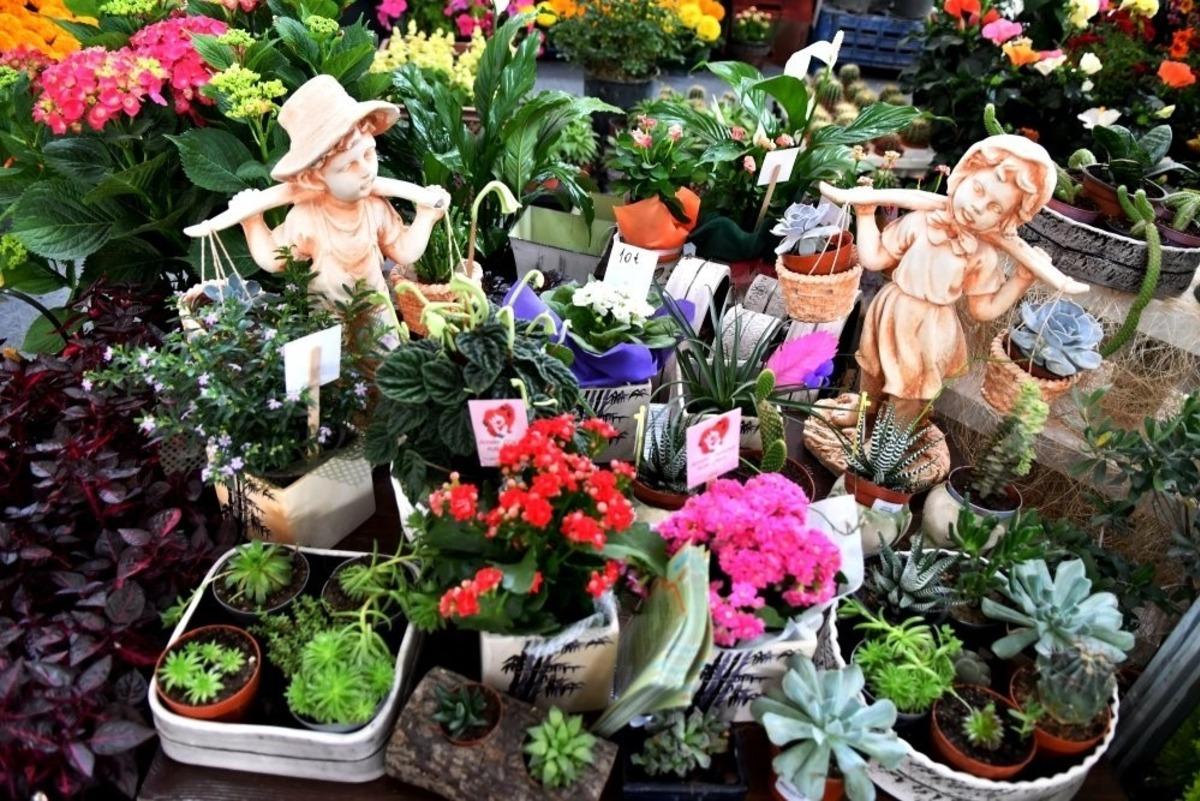 Manisa&rsquo;da 2. &Ccedil;i&ccedil;ek Festivali 1 Temmuz&rsquo;da başlıyor