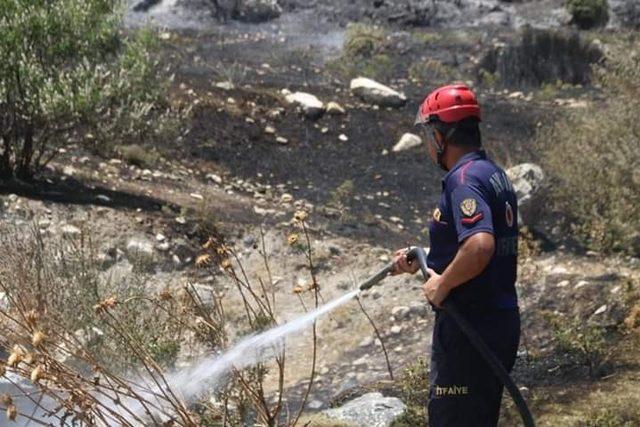 Söke’de makilik alanda yangın