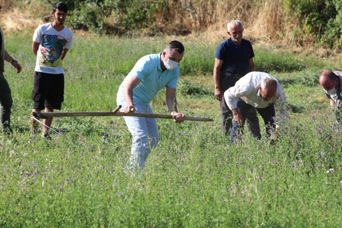 Kaymakam Solmaz &ccedil;ift&ccedil;iyle tırpan tutup orak salladı