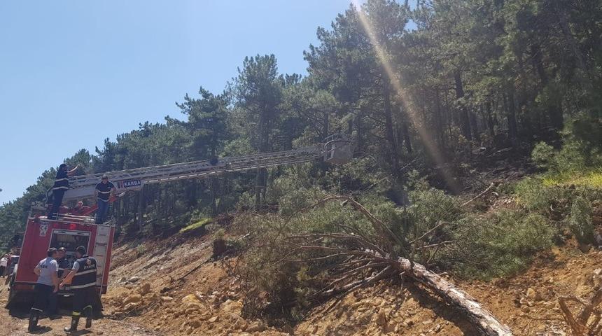 Tun&ccedil;bilek&rsquo;te yangın b&uuml;y&uuml;meden s&ouml;nd&uuml;r&uuml;ld&uuml;