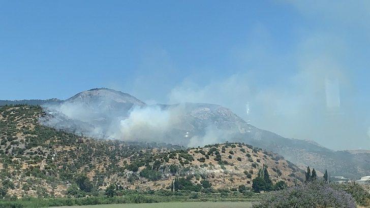 Söke’deki makilik yangını söndürüldü G3