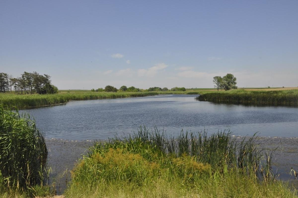 Yaşanan balık &ouml;l&uuml;mleri sonrası ekiplerce numune alındı