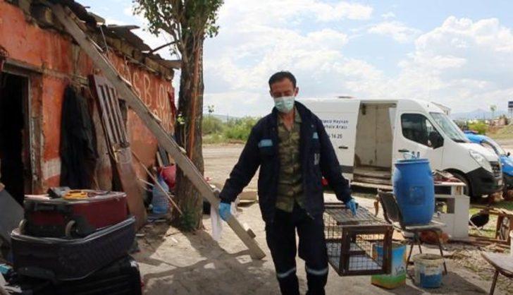 Erzurum'da kedi ve yavruları için yıkım durduruldu G3