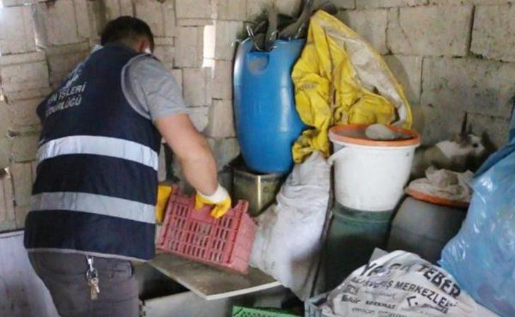 Erzurum'da kedi ve yavruları için yıkım durduruldu G4