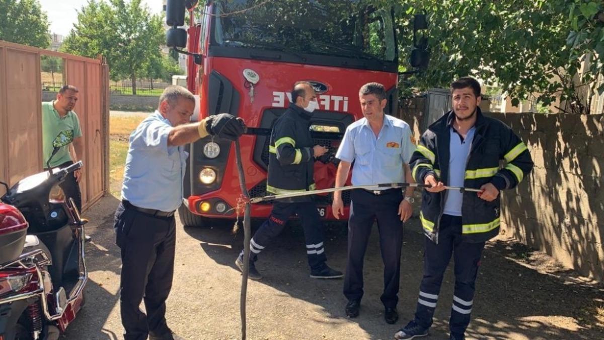 K&uuml;mese giren yılan korkuttu