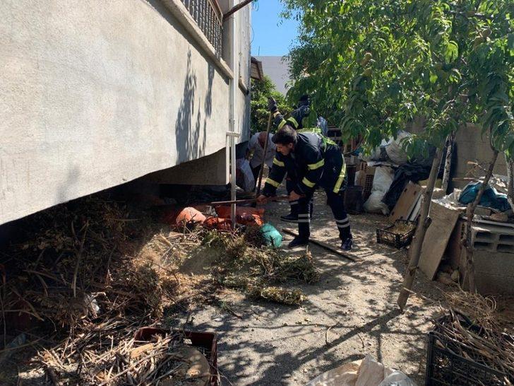 Kümese giren yılan korkuttu G4