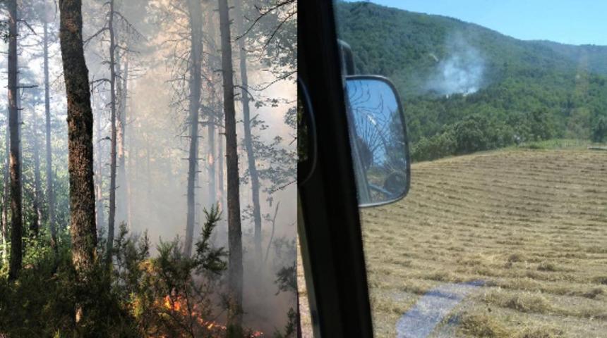 &Ccedil;anakkale'nin Yenice il&ccedil;esinde orman yangını