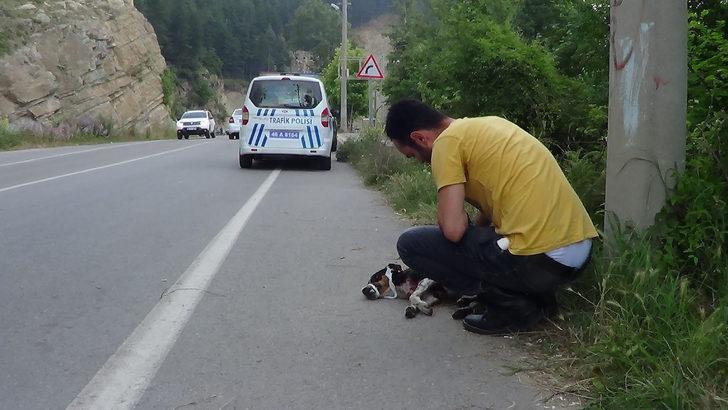 Vicdansızlığın böylesi! Sokak köpeğini av tüfeğiyle vurdular G2