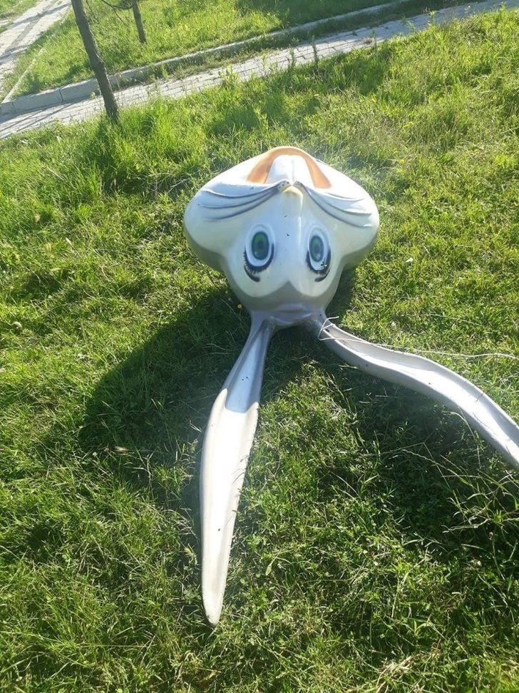 Tekirdağ’da büyükbaş hayvanlar parkı işgal etti G3