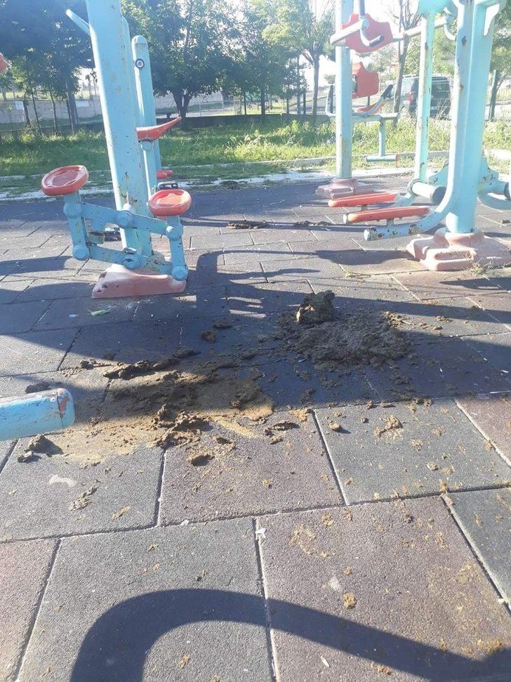 Tekirdağ’da büyükbaş hayvanlar parkı işgal etti G4