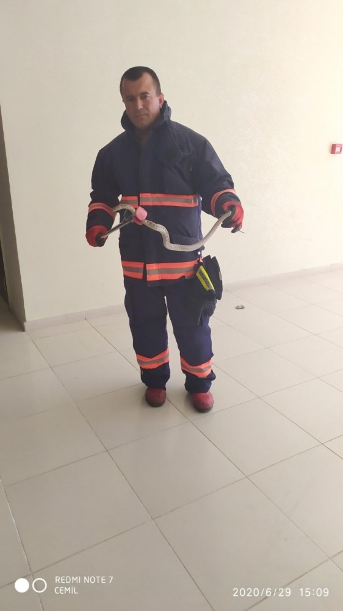 Okulda yakalanan yılanlar doğaya bırakıldı