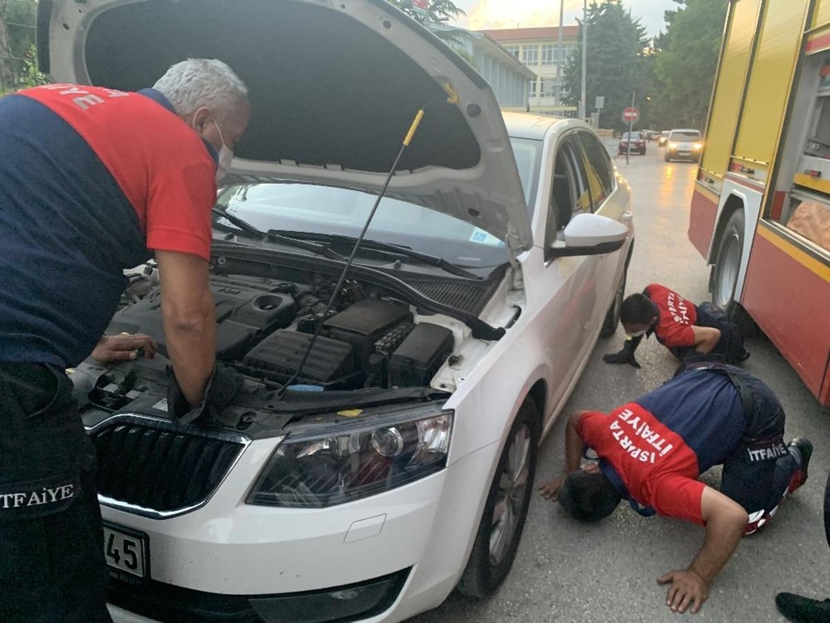 Kedi sesi duydu, aracın başından 3 saat ayrılmadı