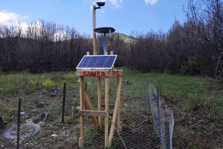 Sivas'ta tırtıl istilası! İlk kez ışıklı tuzak denendi G1