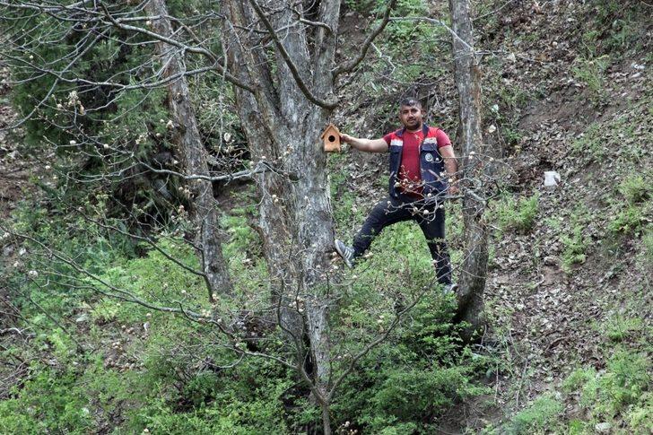 Sivas'ta tırtıl istilası! İlk kez ışıklı tuzak denendi G2