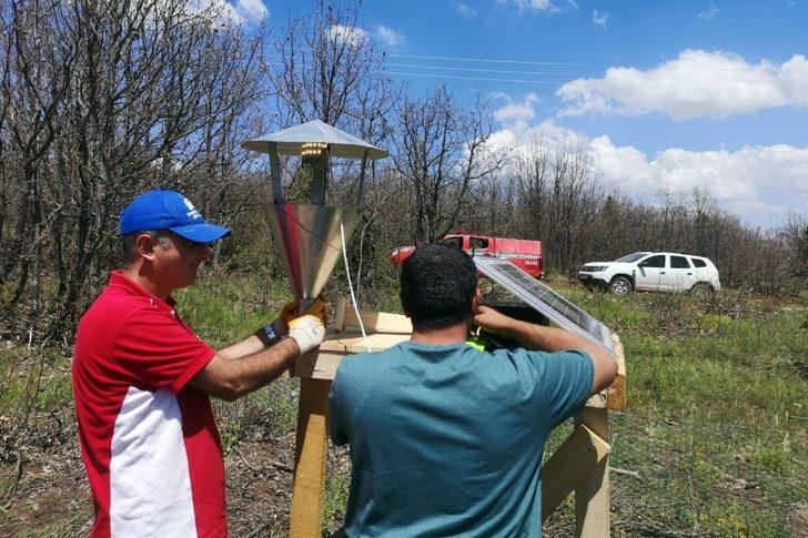 Sivas'ta tırtıl istilası! İlk kez ışıklı tuzak denendi G4