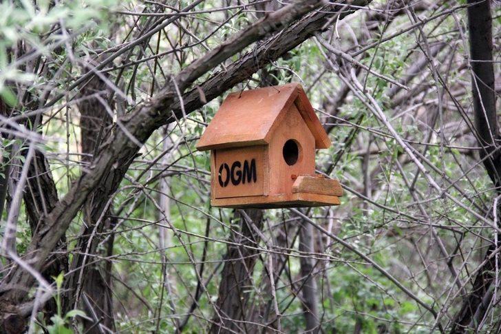 Sivas'ta tırtıl istilası! İlk kez ışıklı tuzak denendi G5