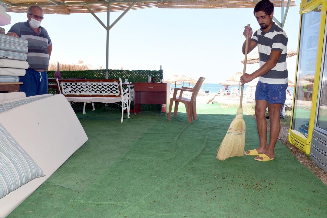 Saros K&ouml;rfezi kıyıları, uğur b&ouml;ceklerinin istilasına uğradı