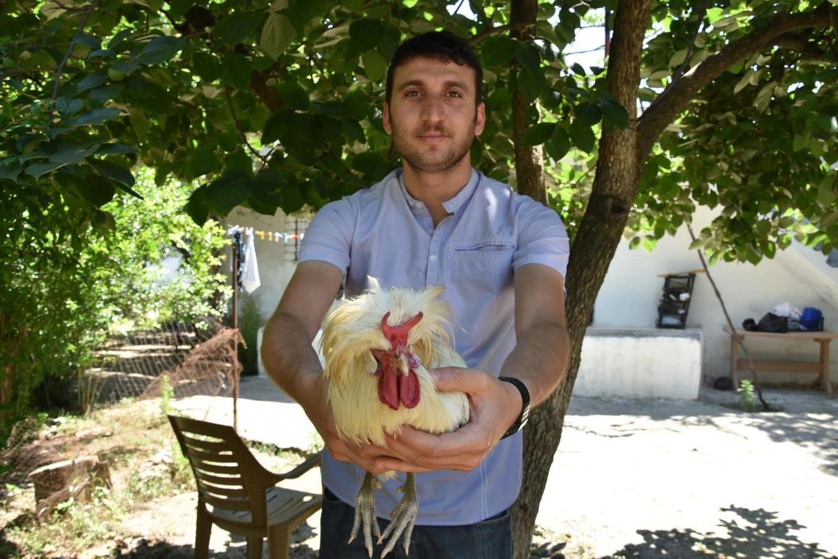 İzmir'deki boynuzlu horoz g&ouml;renleri şaşırttı! Teklifleri geri &ccedil;eviriyor